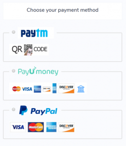 Payment Options all SMO SMM Panel