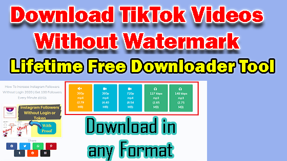 Download TikTok Videos Without Watermark | Free Online Downloader