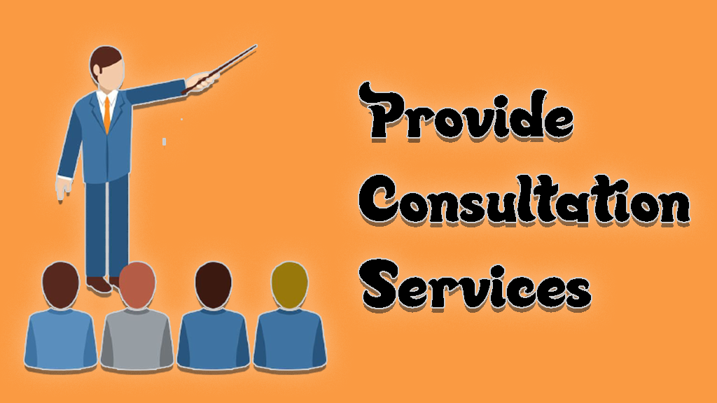 provide consultation and coaching services